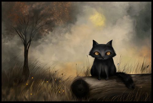 Plakat 91,5x61cm Czarny Kot na Arena.pl