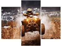 OBRAZ OFFROAD QUAD