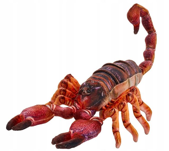 Skorpion brązowy 38cm zdjęcie 1