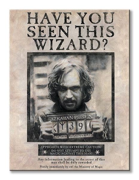 Harry Potter (Wanted Sirius Black) - Obraz na płótnie 60x80 cm zdjęcie 2