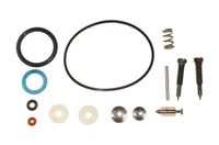 ZESTAW NAPRAWCZY GAŹNIKA B&S 494349/492077 ROZ494349