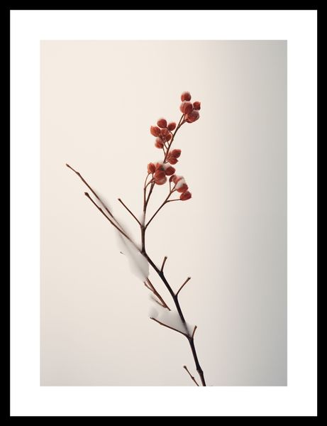 Plakat 25x35cm Subtelna Siła Zimy zdjęcie 3