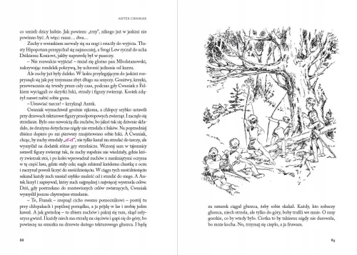 Antek Cwaniak na Arena.pl