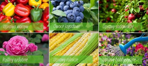 AdeSil krzemowy biostymuator wzrostu roślin 1 kg na Arena.pl