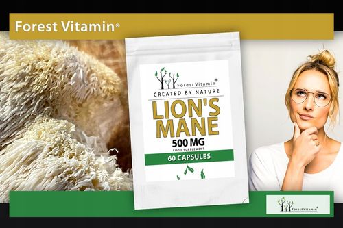Soplówka Jeżowata 500mg 60kap LION'S MANE PAMIĘĆ MÓZG KONCENTRACJA na Arena.pl