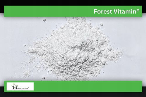 FOREST VITAMIN L-TREONIAN MAGNEZU 50g CZYSTY PROSZEK L-THREONATE MAGNEZ na Arena.pl