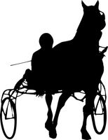 Naklejka ścienna KONIE naklejki na ścianę koń 120