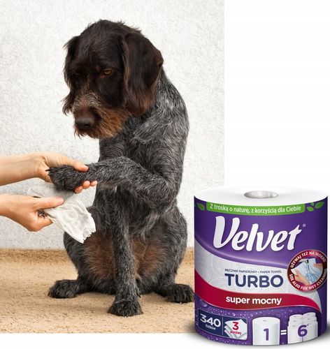 Velvet ręczniki papierowe TURBO 6 rolek 3 warstwowy 340 listków na Arena.pl