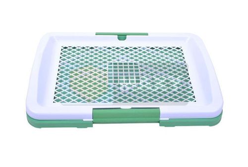 Kuweta dla psa na Arena.pl