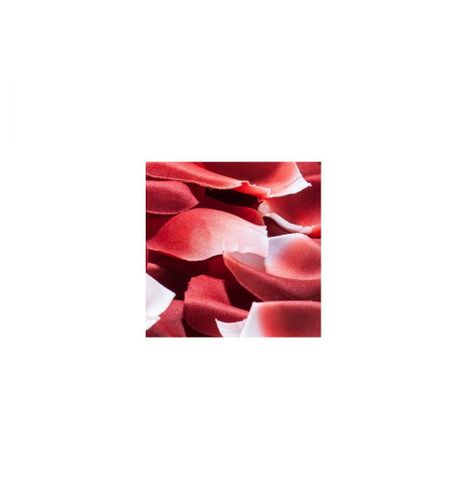 Bijoux Indiscrets - Rose petal explosion na Arena.pl