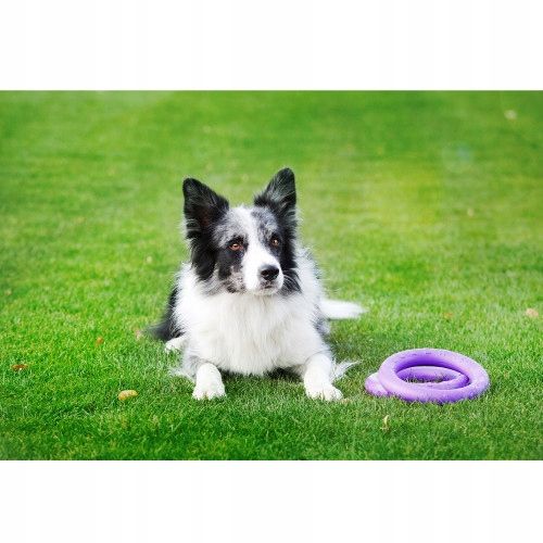 Szarpak dla psa PULLER Midi 19,5 cm - zabawka 2 ringi dla średnich ras psów na Arena.pl