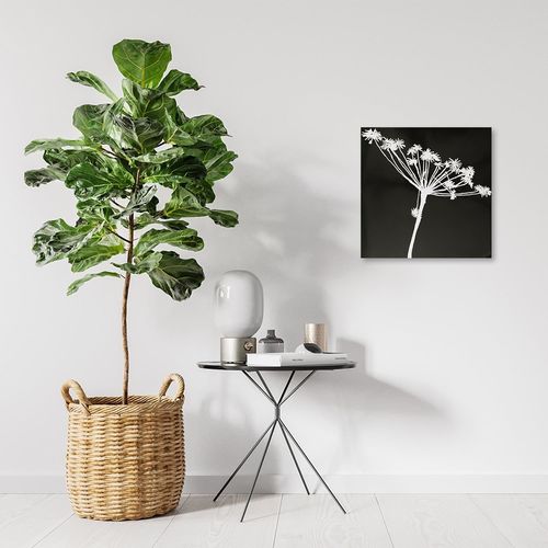 Deco Panel, Dmuchawiec czarny 50x50 na Arena.pl
