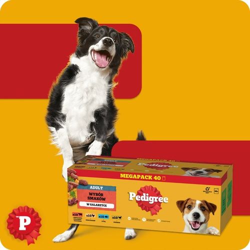 MOKRA KARMA DLA PSA PEDIGREE MIX SMAKÓW W GALARETCE SASZETKI 40X100 G na Arena.pl