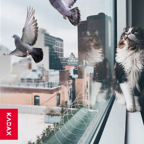 SPIRALE NA PTAKI GOŁĘBIE ODSTRASZACZ JASKÓŁEK NDZ na Arena.pl