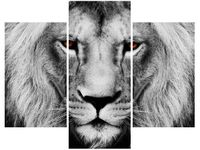 product-compare-58710226