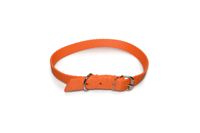 A-010 OBROŻA DLA PSA TAŚMA 20MM 43-51cm Kolor - Pomarańczowy