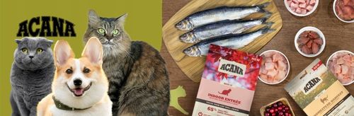 ACANA Adult Small Breed sucha karma dla psa 6 kg na Arena.pl