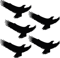 NAKLEJKI ODSTRASZAJĄCE PTAKI na szybę 5 szt. DUŻE 35cm