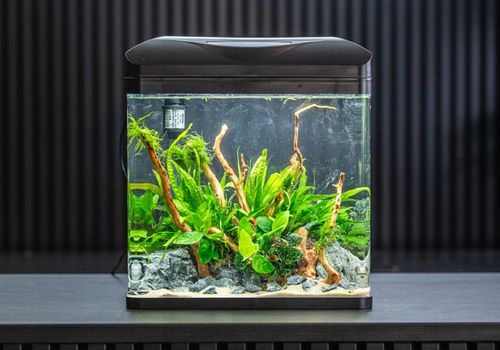 INVITAL EasyTank PRO LED 16 litrów z filtracją w pokrywie czarny na Arena.pl