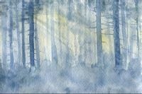 Fototapeta Las Drzewa Mgła AKWARELA do Sypialni 368cm x 254cm