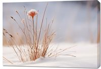 Obraz 100x70cm Zima w Detalach