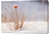 Obraz 100x70cm Zima w Detalach