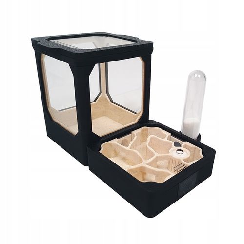 Formikarium TINY S – Modułowe Terrarium Dla Mrówek 70x140 na Arena.pl