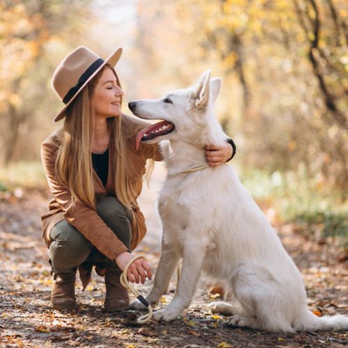 2Dog mokra karma wołowina z rosołem 800g na Arena.pl