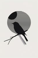 Plakat 56,6x86,4cm Kontrast Smukłości