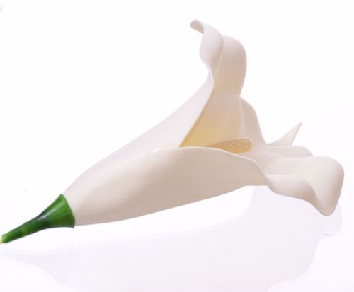 Kalia główka kremowa na Arena.pl