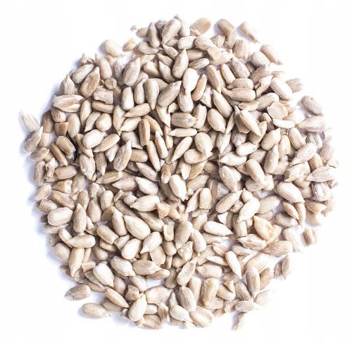 SŁONECZNIK ŁUSKANY 5kg Naturalny wysoka jakość | KOL-POL na Arena.pl