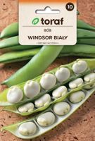 Bób Windsor Biały nasiona 50 g