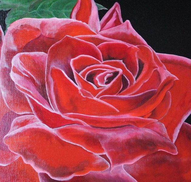 Czerwona róża (50x70cm) zdjęcie 2