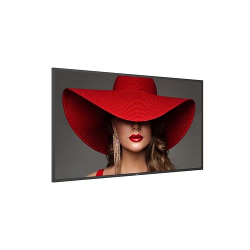 Monitor Videowall Philips 55BDL4650D/00 4K Ultra HD 55" na Arena.pl