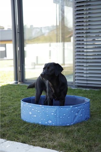 Basen dla psa Bubble 120x120x30 cm niebieski Kerbl na Arena.pl