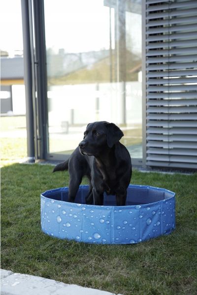 Basen dla psa Bubble 120x120x30 cm niebieski Kerbl zdjęcie 4