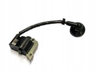 CEWKA ZAPŁONOWA CG260B WLBC260-2ZXU BP254-10-V NAC