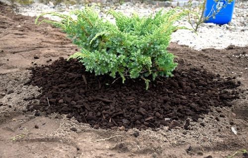 Ściółka z węgla brunatnego CARBOMAT ECO 20 L (pH 4,5 - 5,0) na Arena.pl