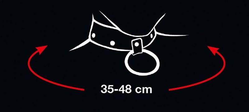 Collar and Leash zdjęcie 7