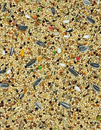 karma dla papug małych "Energy Taste" MDM PM 1 x 10kg fa na Arena.pl