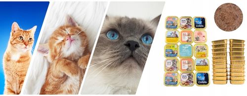 Karma Mokra dla kota Mix Smaków 34x 100g Zestaw Różnych Producentów 3,4 kg na Arena.pl