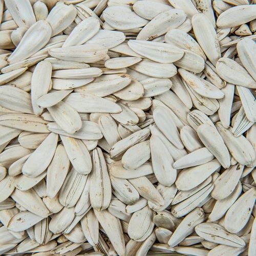 SŁONECZNIK PRAŻONY BIAŁY TURECKI SOLONY 800g na Arena.pl