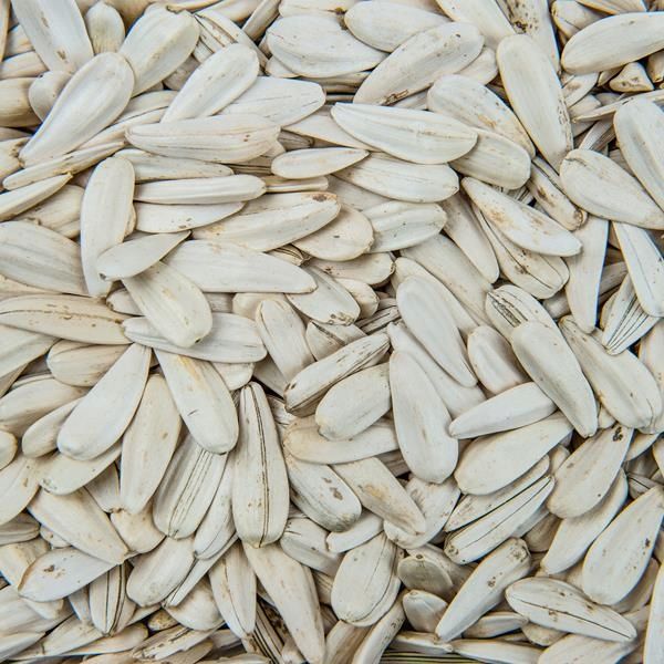 SŁONECZNIK PRAŻONY BIAŁY TURECKI SOLONY 800g zdjęcie 5