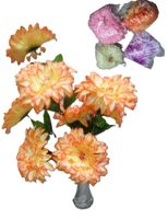 product-compare-61196341