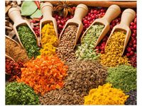 40X50CM FESTIWAL PRZYPRAW OBRAZ