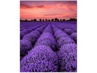 product-compare-58653165