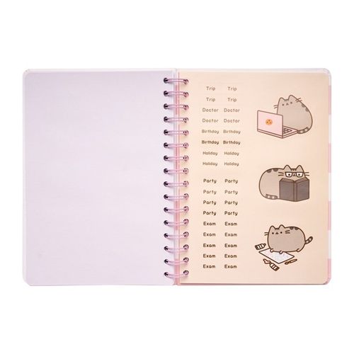 Pusheen - Planner 2019/2020 (14 x 16 cm) na Arena.pl