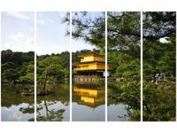 product-compare-58702571