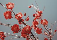 product-compare-59352662