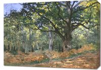 Obraz 70x50cm The Bodmer Oak, Monet Vintage do Salonu